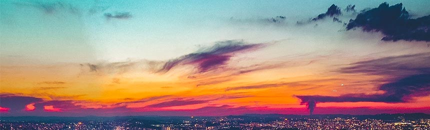 白沙茶虫网_白沙品茶